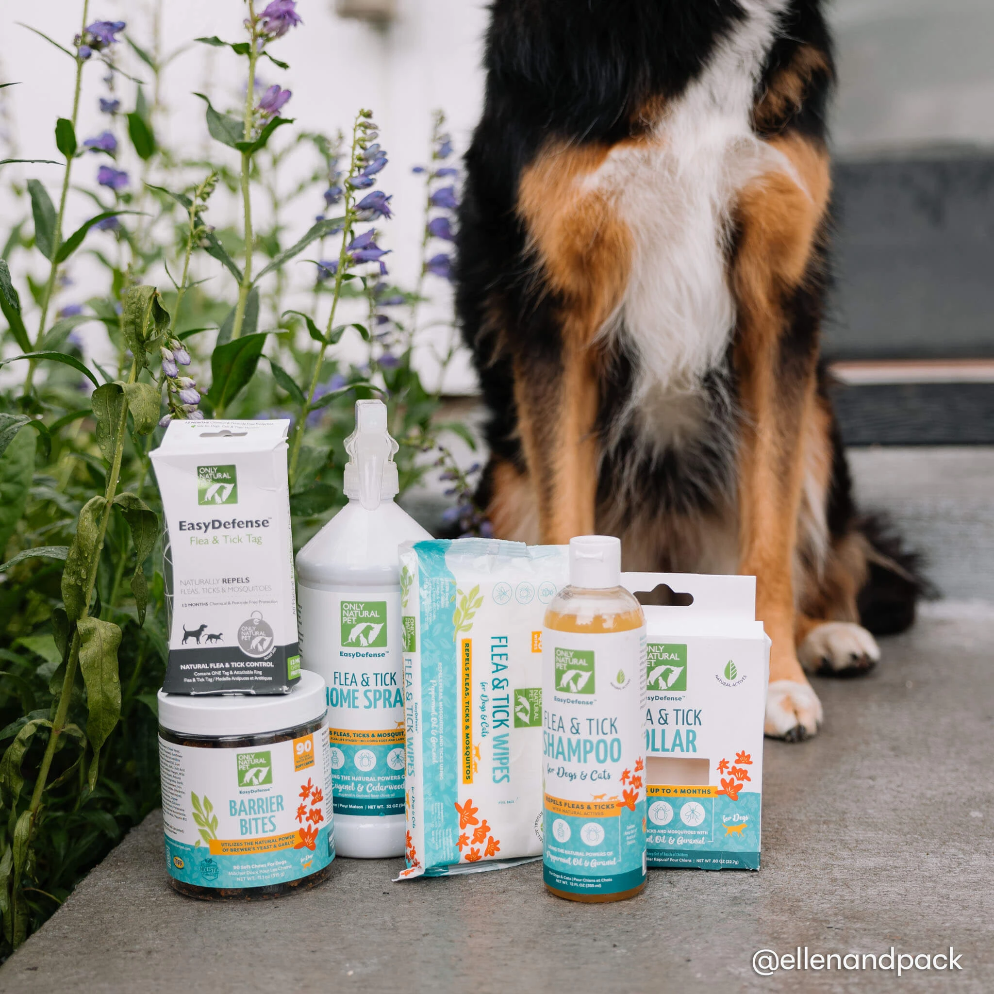 Only Natural Pet Flea & Tick Complete Protection Kit For Dogs - Image 17