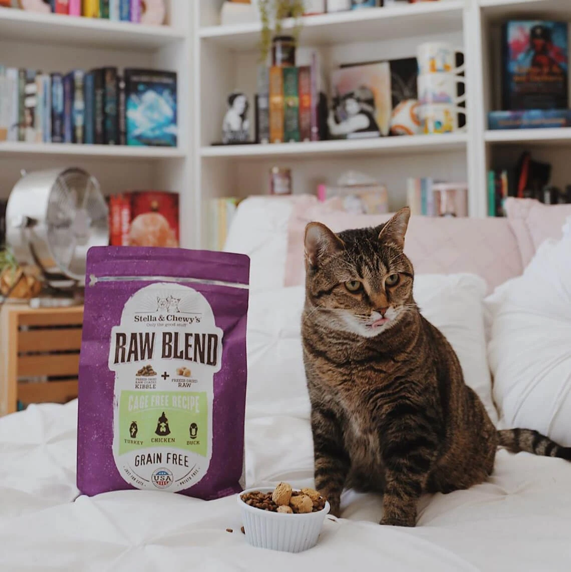 Stella & Chewy's Raw Blend Dry Cat Food - Image 4