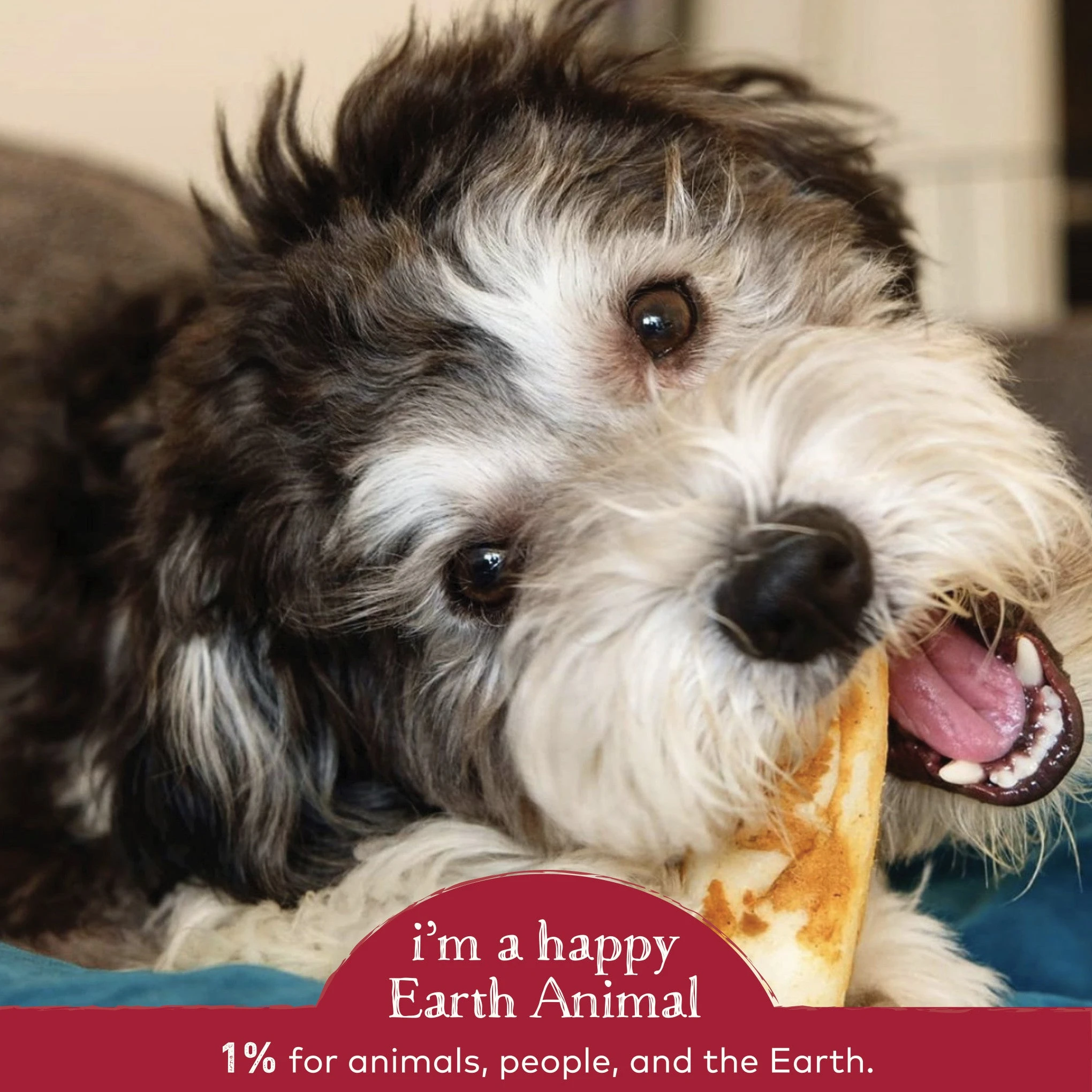Earth Animal No-Hide Beef Single Chew For Dogs - Image 3
