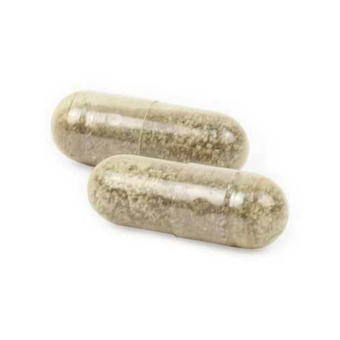 Ark Naturals Gentle Digest Probiotic Supplement For Dogs & Cats - Image 4