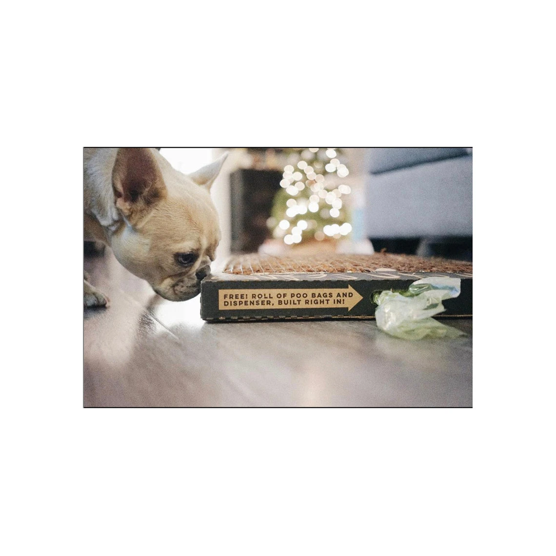 Bark Potty All Natural Pee Pad - Image 5