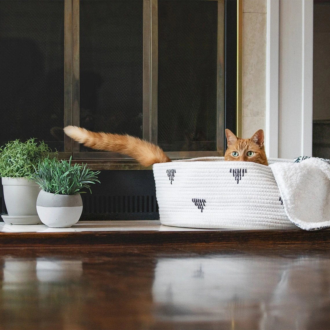 Beonebreed Cat Hammock Bed - Image 14