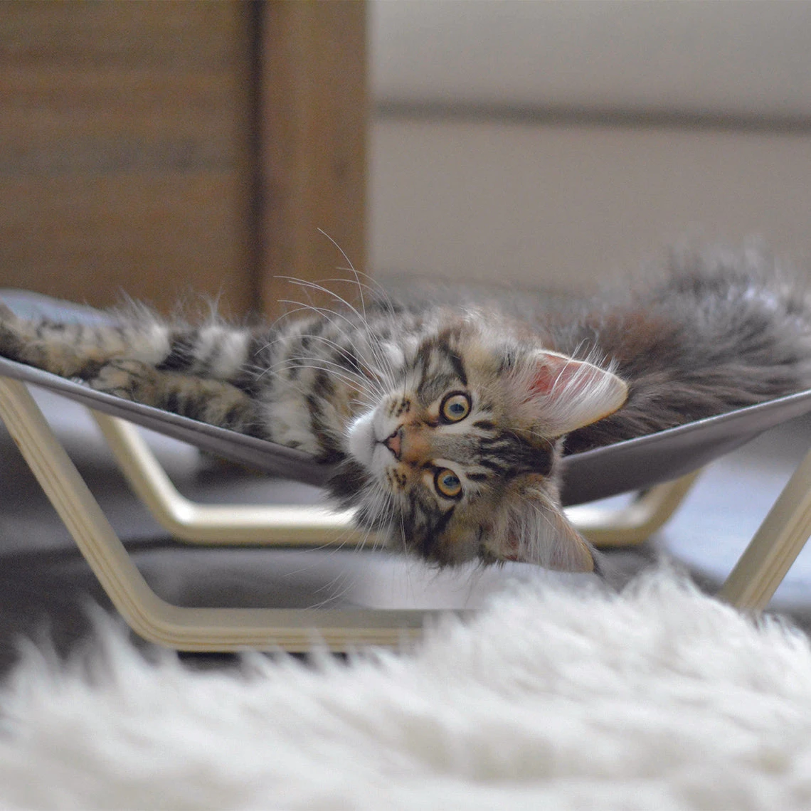 Beonebreed Cat Hammock Bed - Image 2