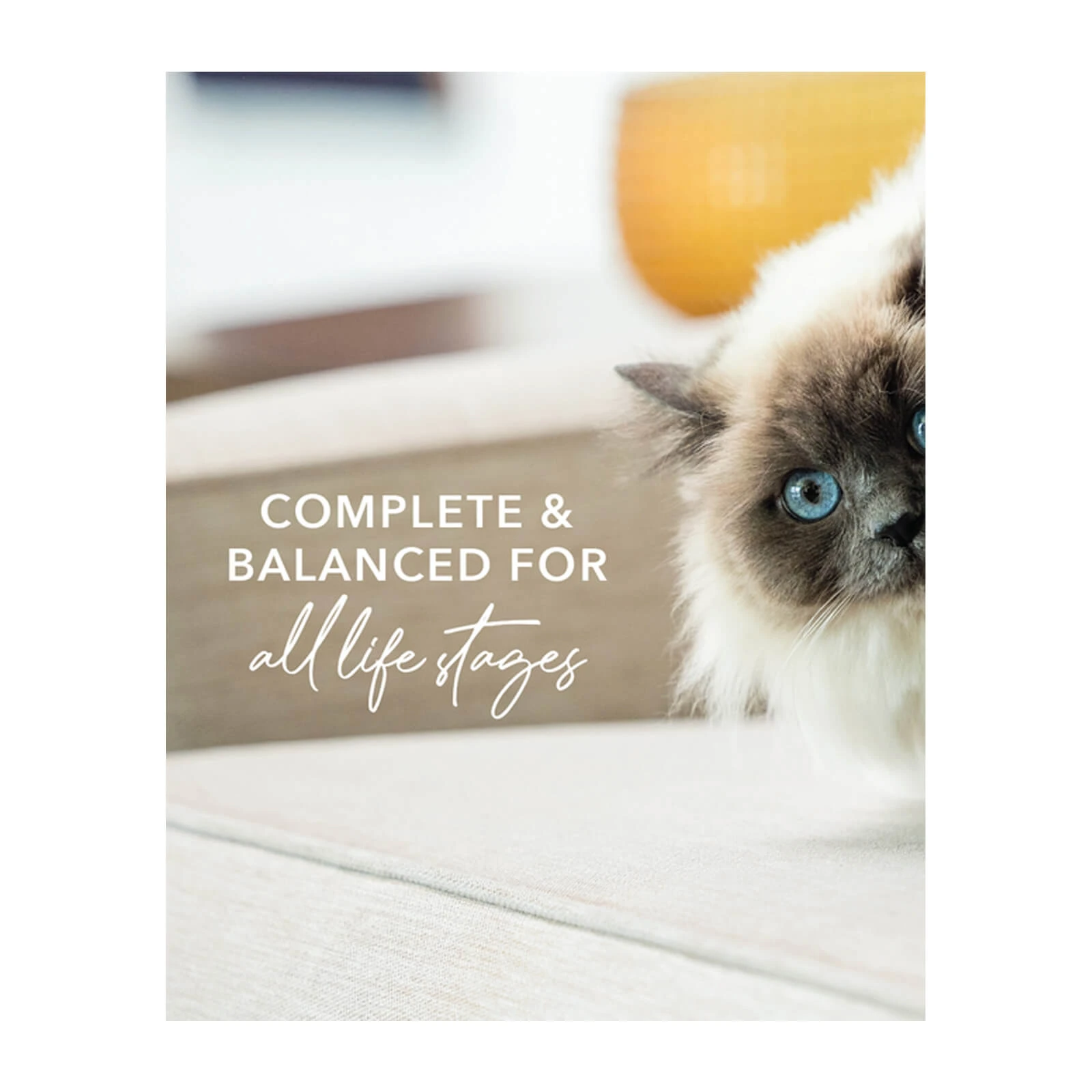 Feline Natural Grain-Free Canned Wet Cat Food - Image 8