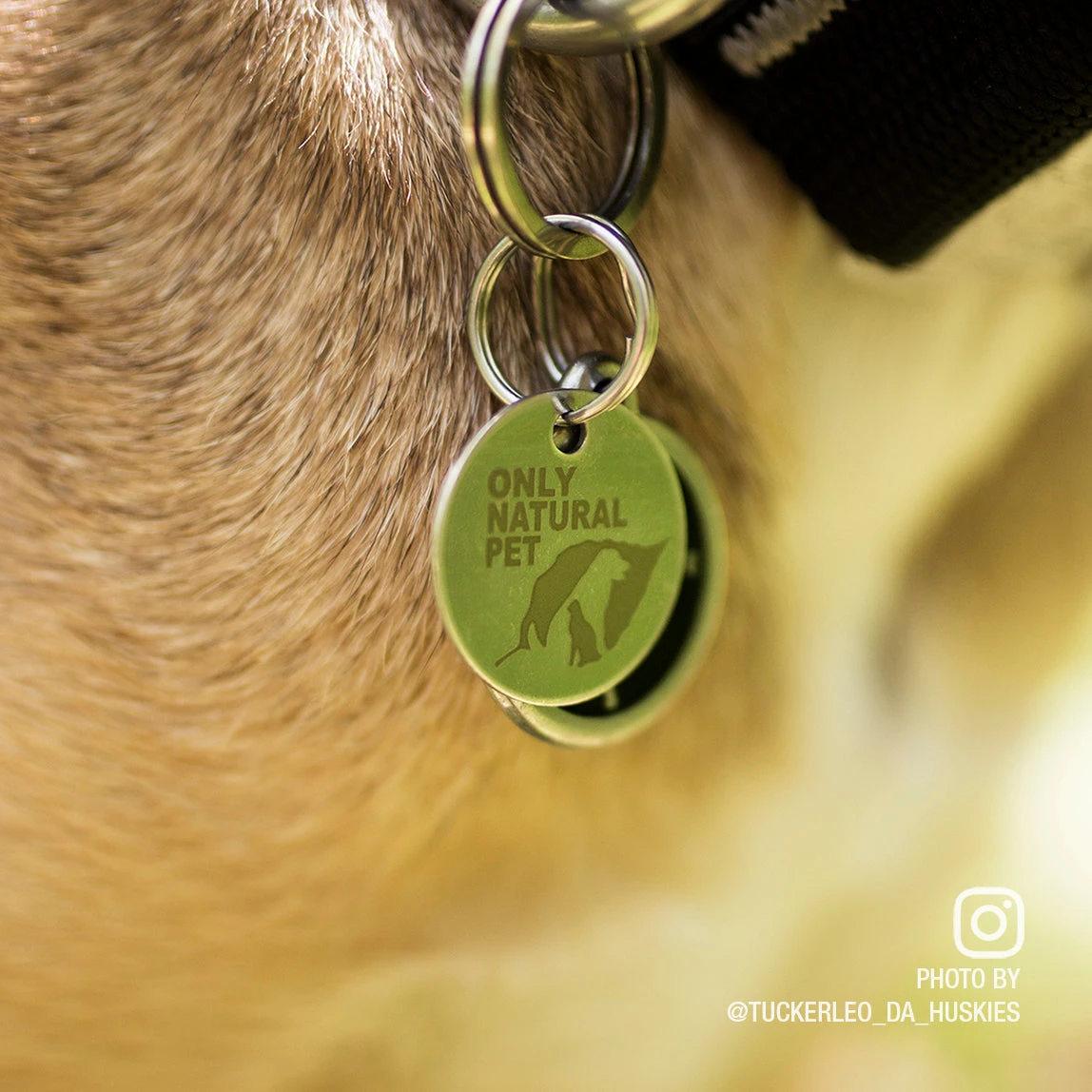 Only Natural Pet Easy Defense Flea & Tick Tag For Dogs & Cats - Image 5