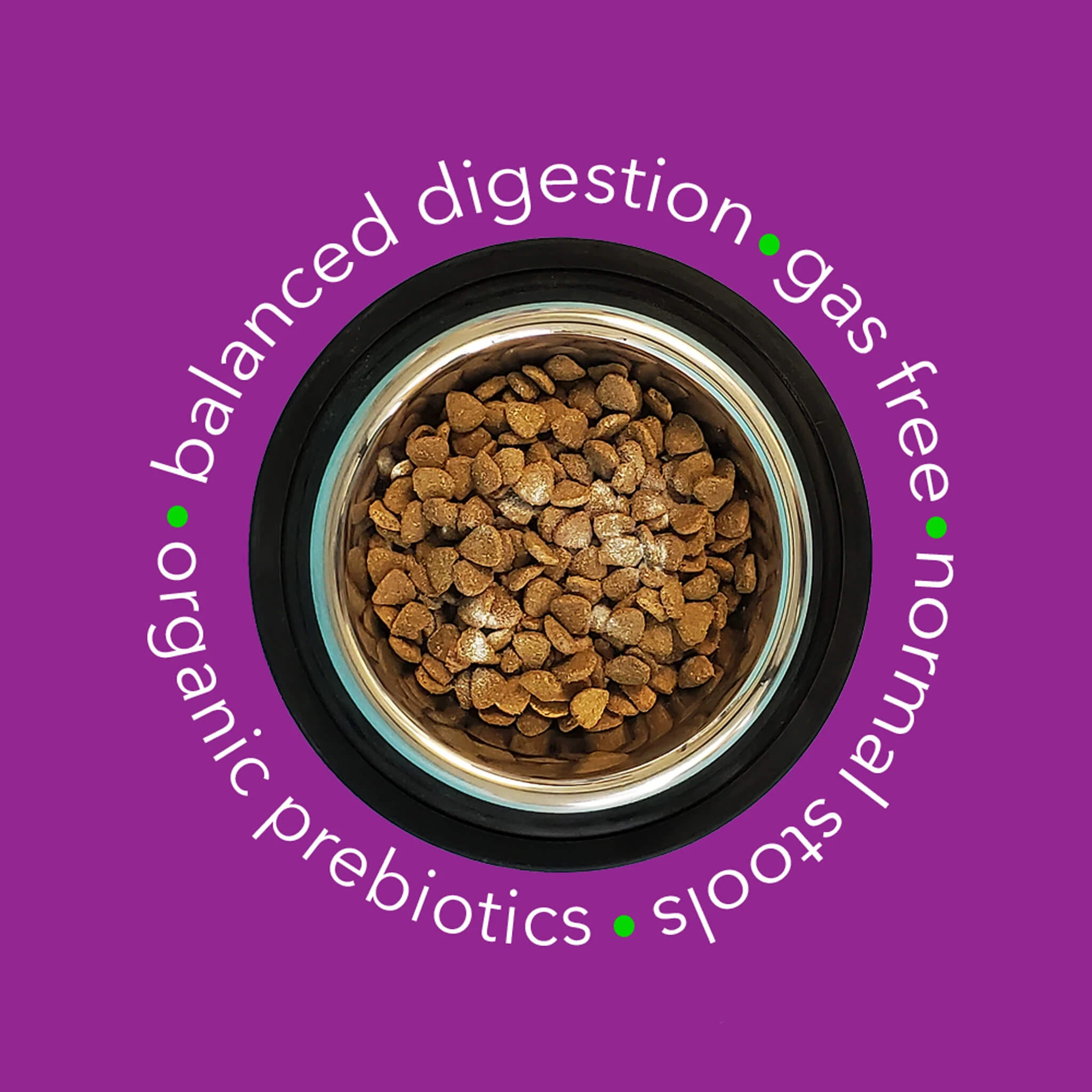 InClover In Clover OptaGest Digestive Aid Dog & Cat Supplement - Image 4