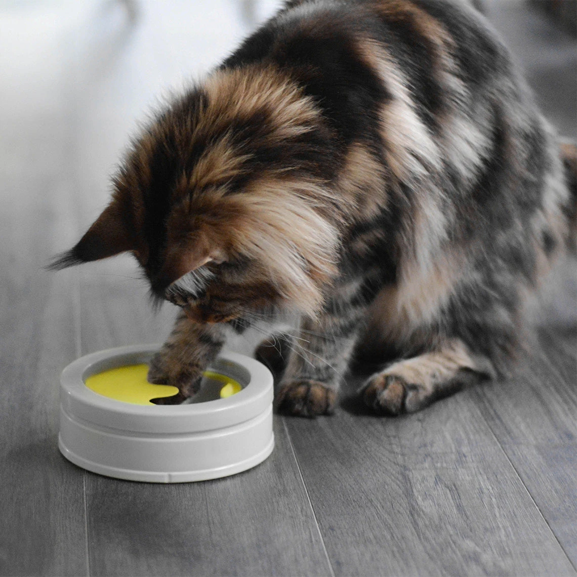 Beonebreed Cat Intellikatt Customizable Puzzle Feeder Bowl - Image 2