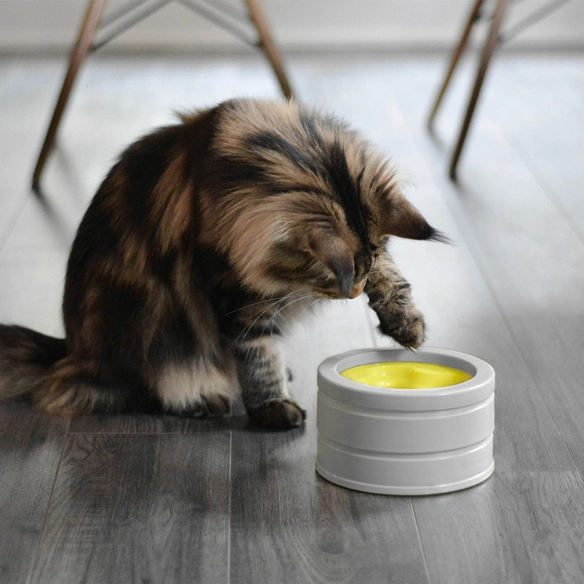 Beonebreed Cat Intellikatt Customizable Puzzle Feeder Bowl - Image 3