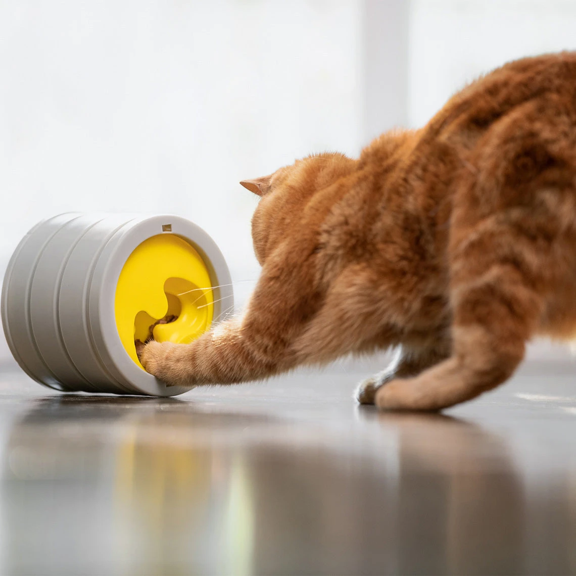 Beonebreed Cat Intellikatt Customizable Puzzle Feeder Bowl - Image 4