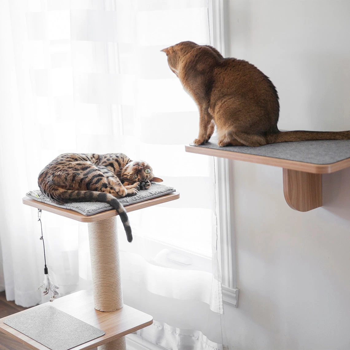 Beonebreed Cat Katt3 Evo Natural Cat Tree - Image 4