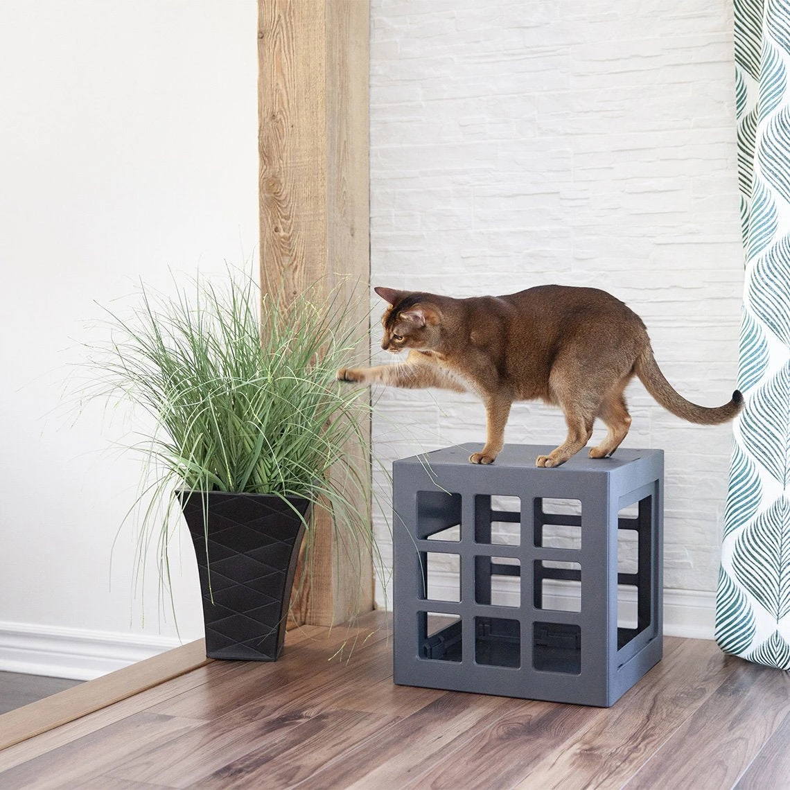 Beonebreed Cat Hammock Bed - Image 13