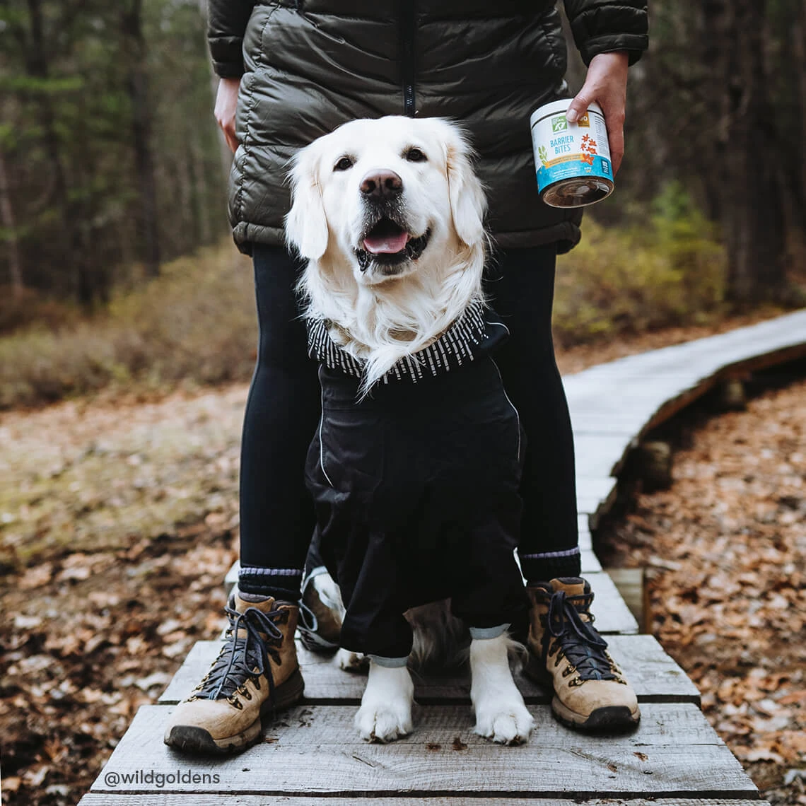 Only Natural Pet EasyDefense Barrier Bites Soft Flea Chews For Dogs - Image 9