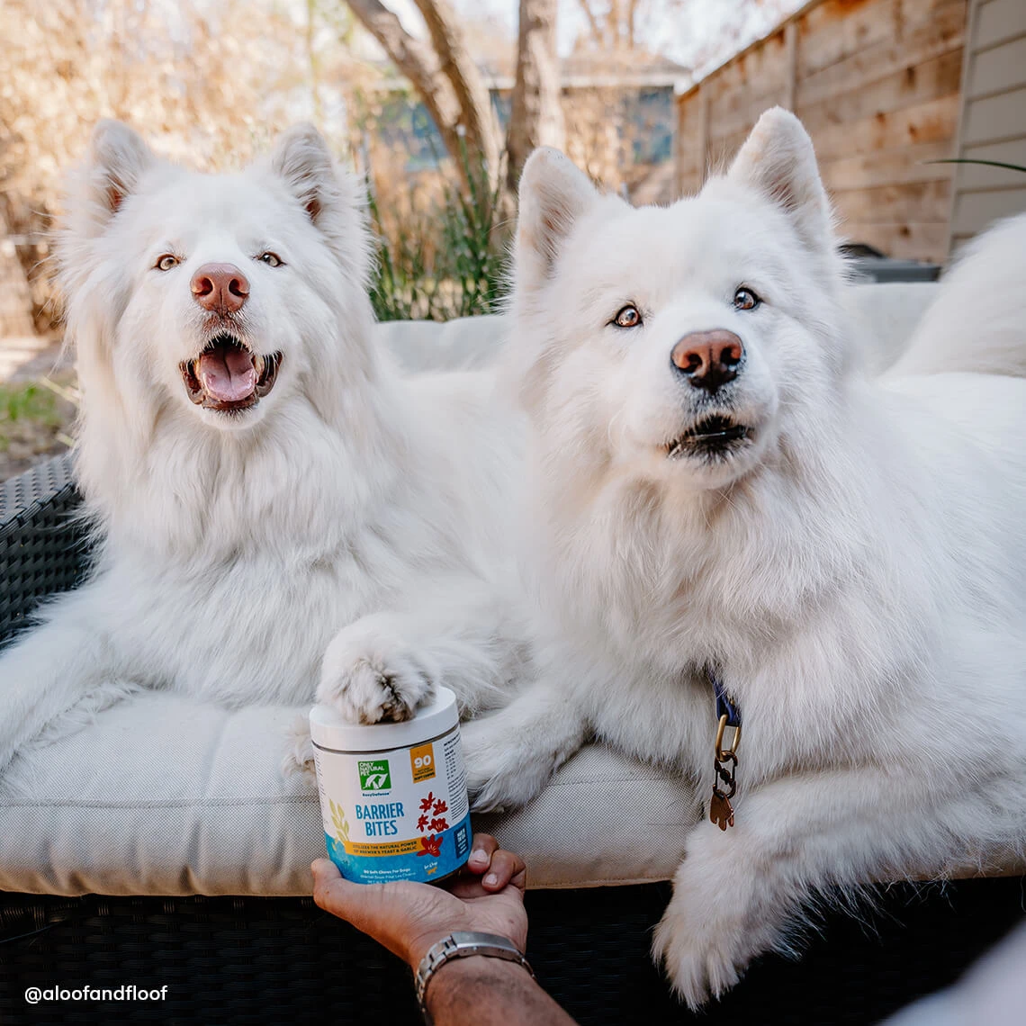 Only Natural Pet EasyDefense Barrier Bites Soft Flea Chews For Dogs - Image 10