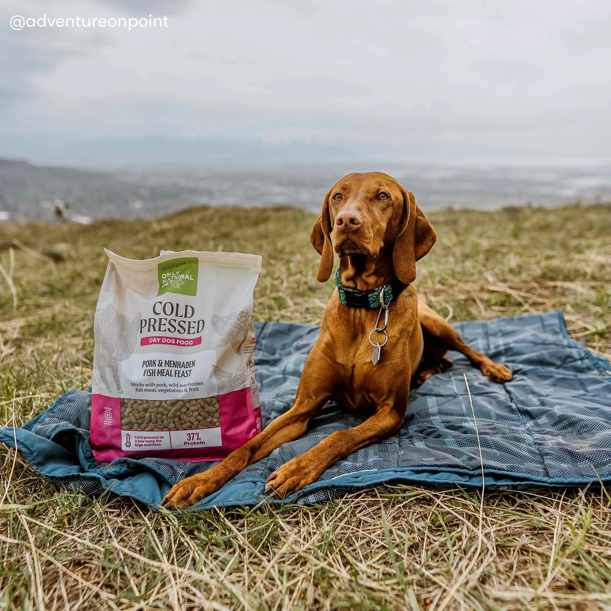 Only Natural Pet Pork & Menhaden Cold Pressed Dog Food - Image 7