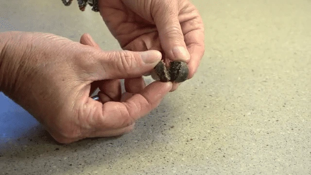 Only Natural Pet EasyDefense Barrier Bites Soft Flea Chews For Dogs - Image 8