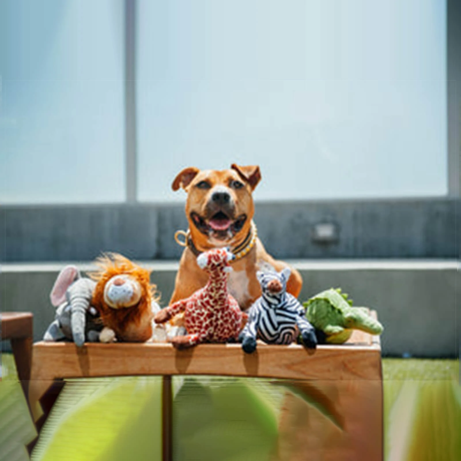 P.L.A.Y. PET LIFESTYLE AND YOU P.L.A.Y. Safari Collection Plush Eco-Friendly Dog Toy - Image 31