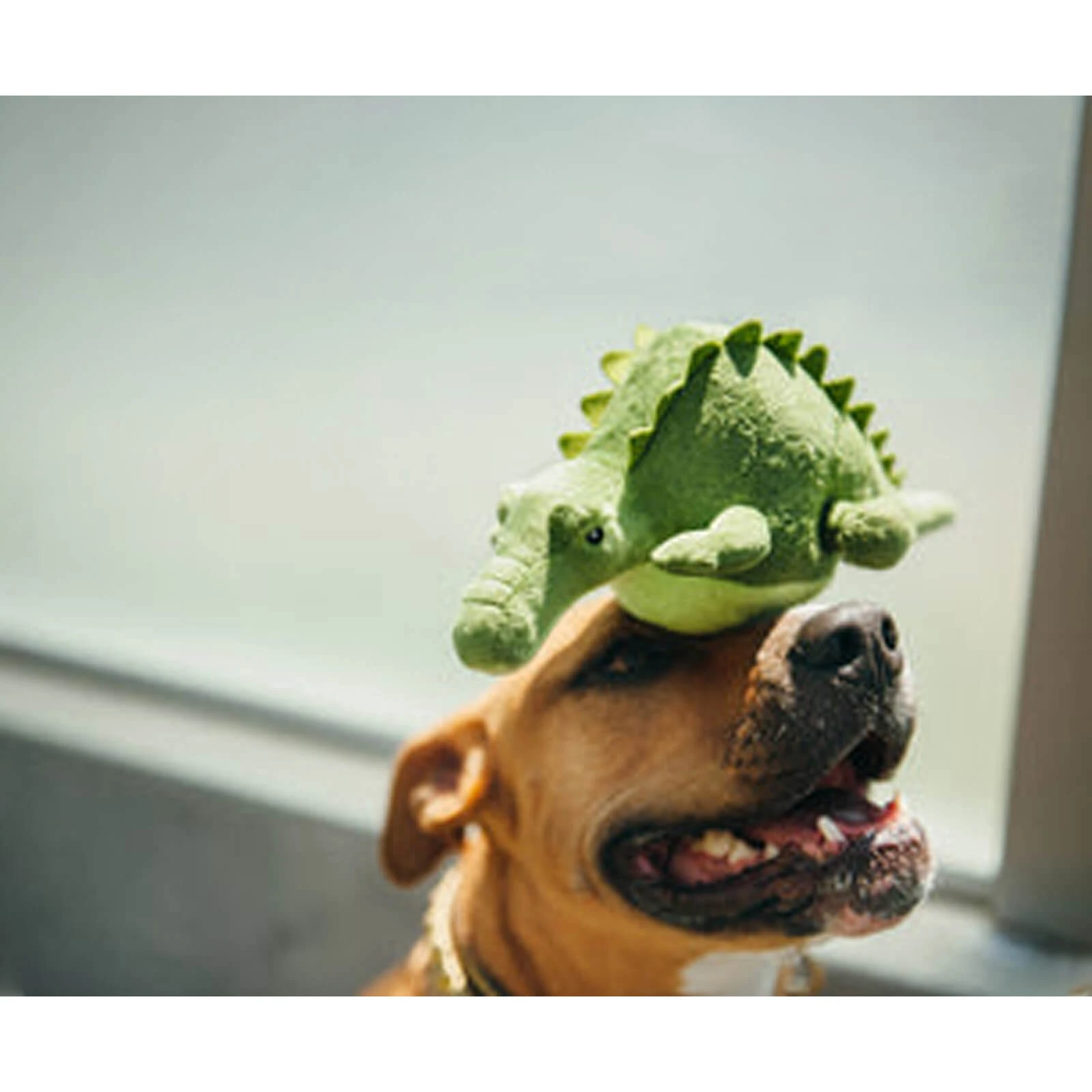 P.L.A.Y. PET LIFESTYLE AND YOU P.L.A.Y. Safari Collection Plush Eco-Friendly Dog Toy - Image 19