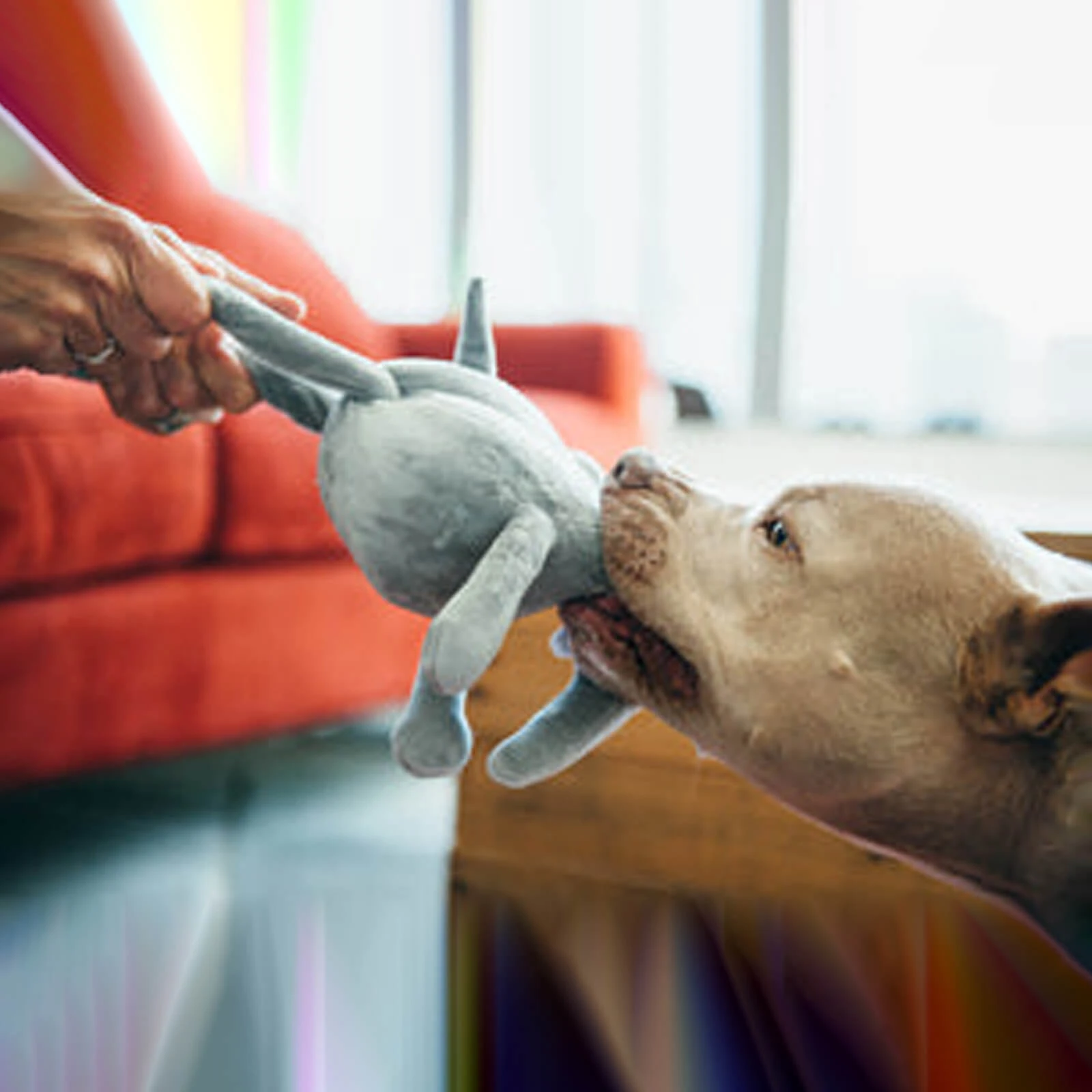 P.L.A.Y. PET LIFESTYLE AND YOU P.L.A.Y. Safari Collection Plush Eco-Friendly Dog Toy - Image 25