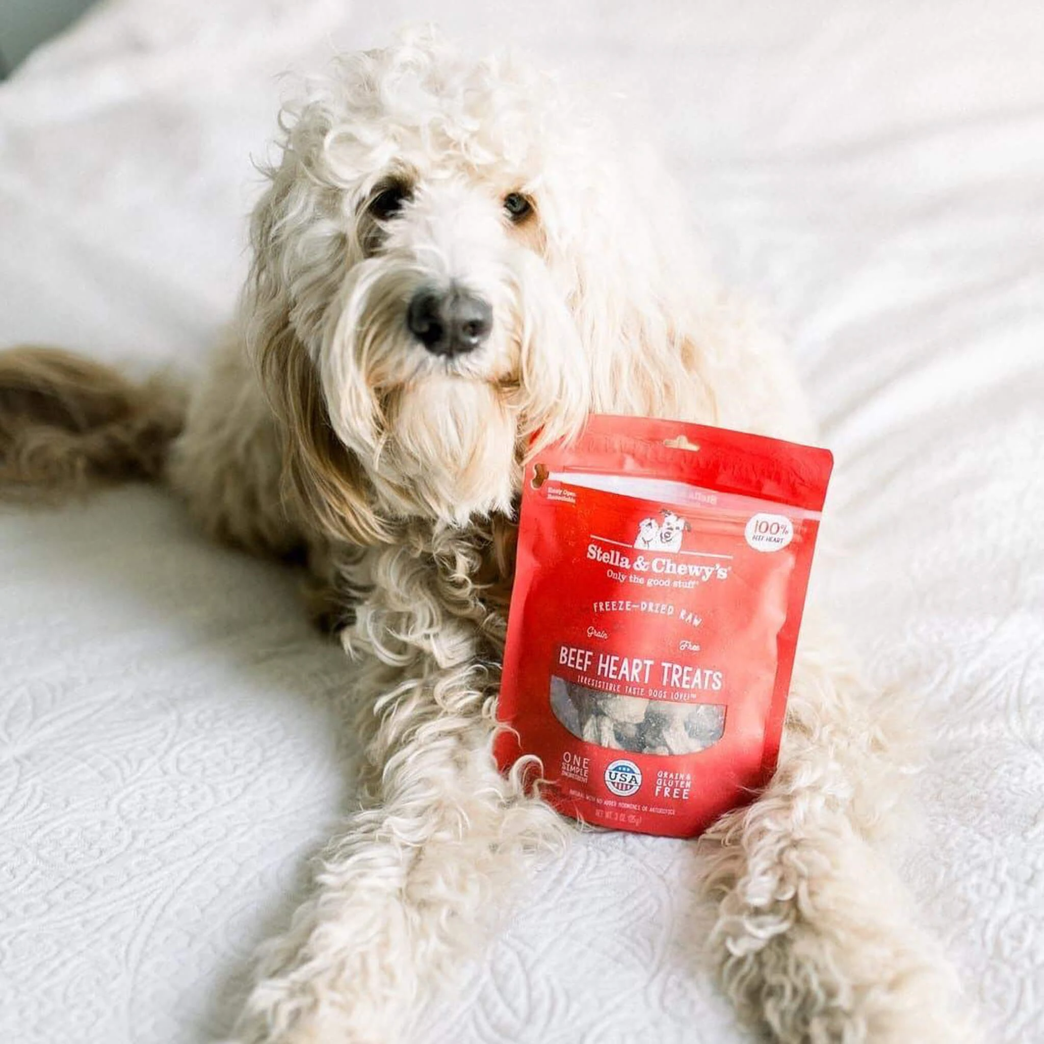 Stella & Chewy's Freeze-Dried Raw Single Ingredient Treats - Image 18