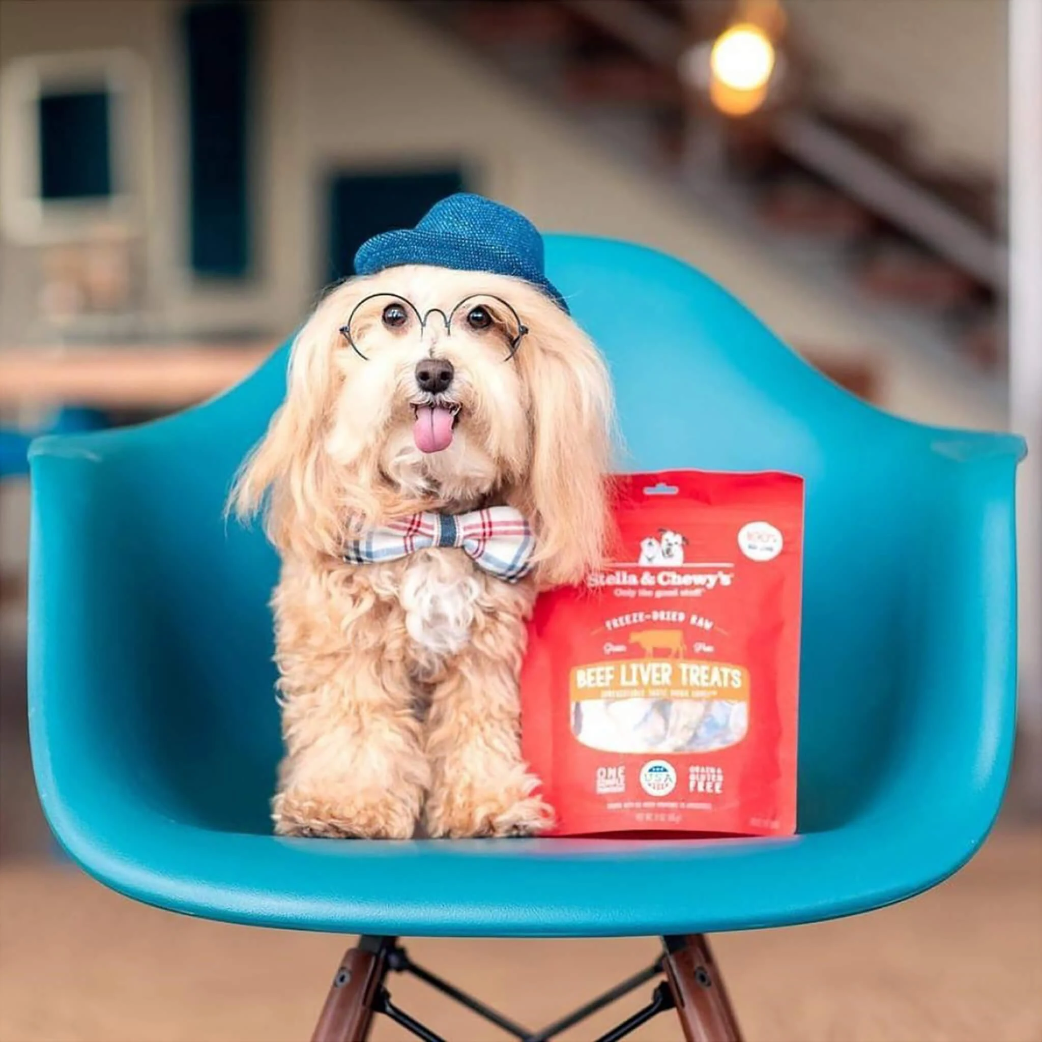 Stella & Chewy's Freeze-Dried Raw Single Ingredient Treats - Image 26