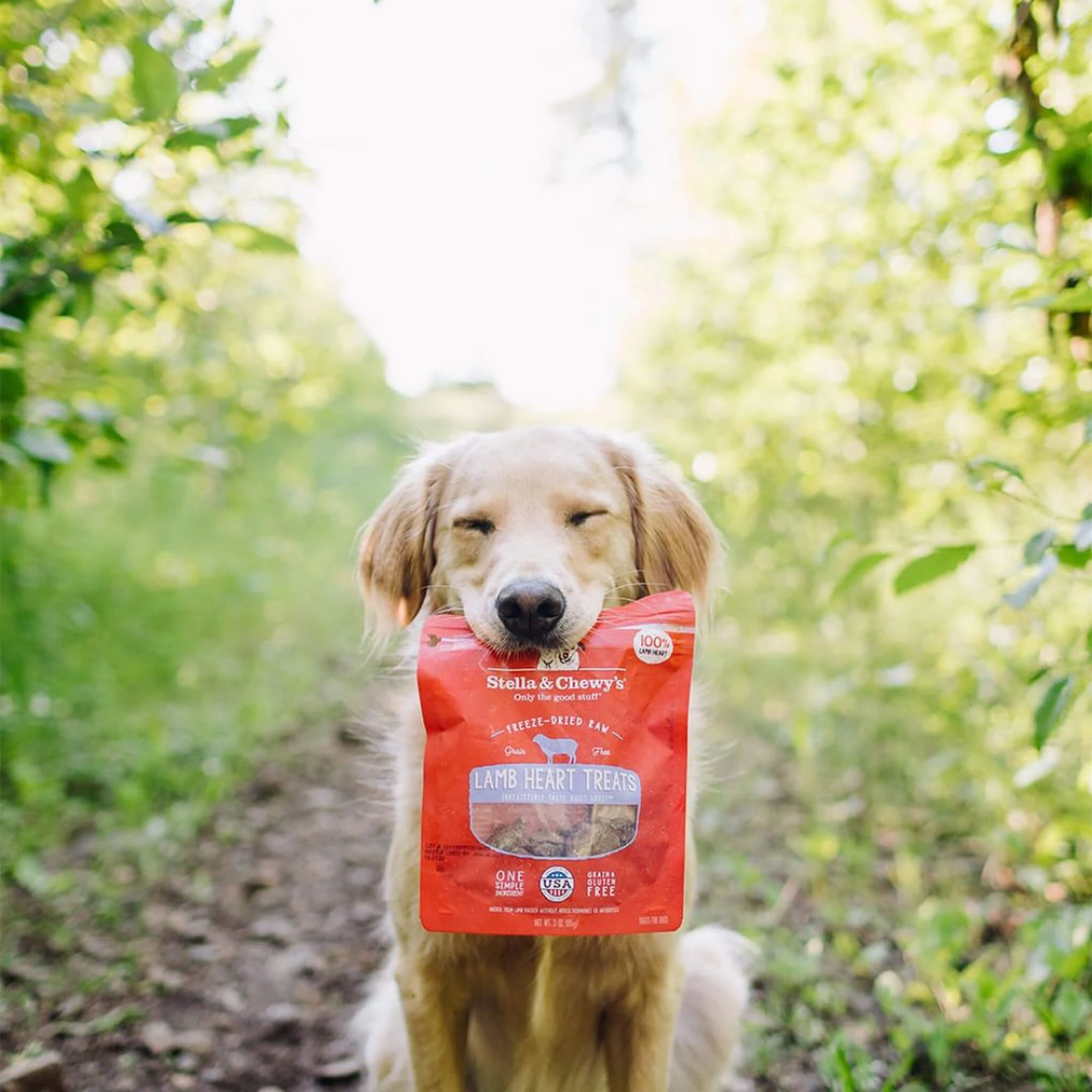 Stella & Chewy's Freeze-Dried Raw Single Ingredient Treats - Image 8
