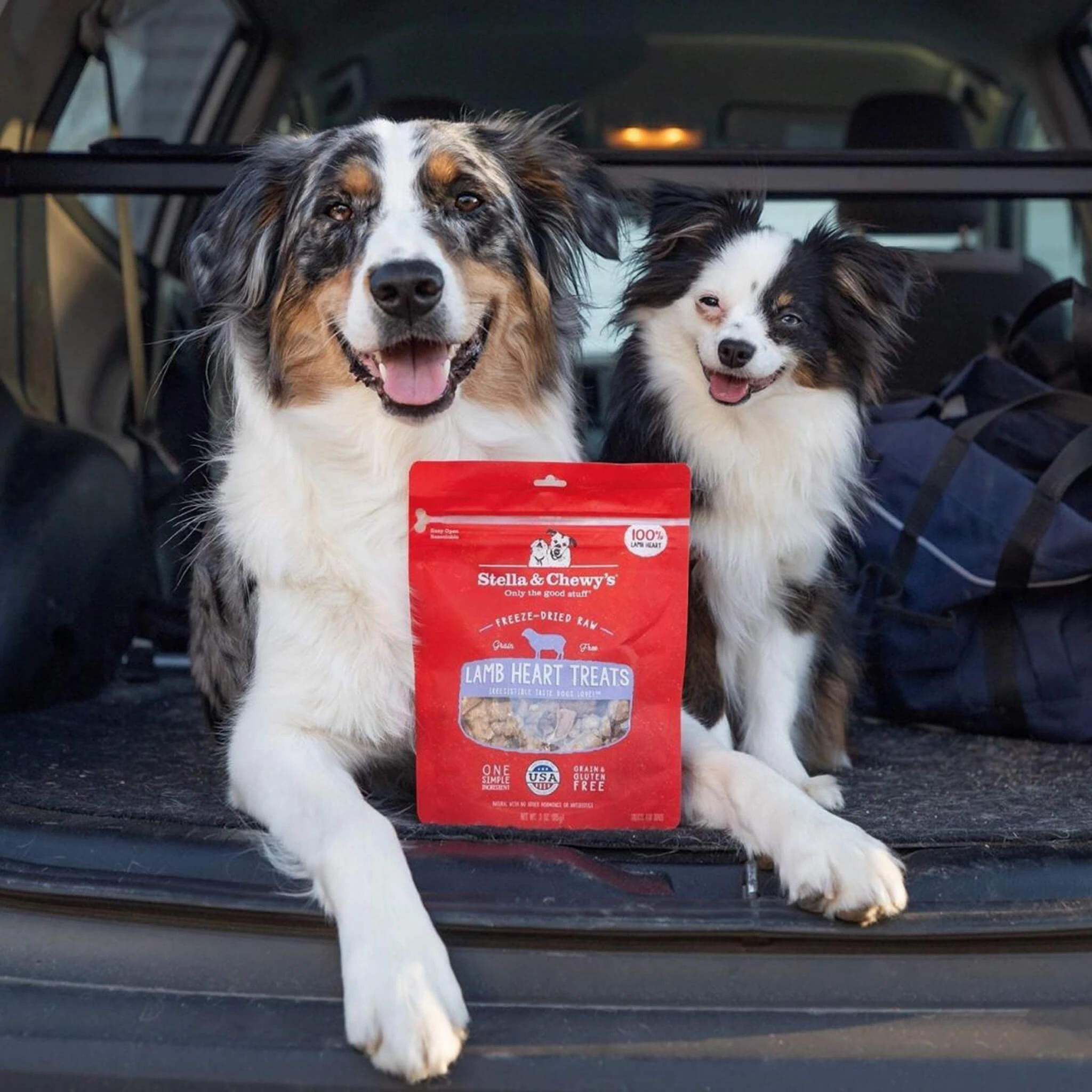 Stella & Chewy's Freeze-Dried Raw Single Ingredient Treats - Image 9