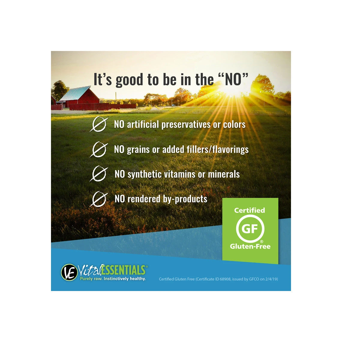 Vital Essentials Freeze-Dried Chicken Necks Single Ingredient Chews For Dogs And Cats Bulk Pack - Image 3