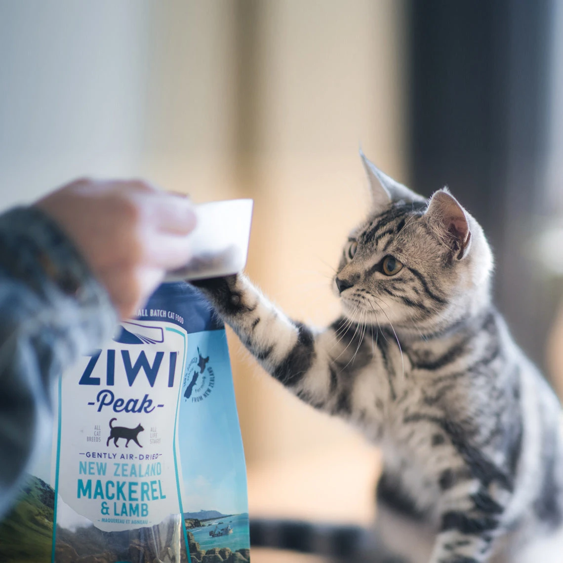 ZiwiPeak Daily Cuisine Grain-Free Air-Dried Cat Food - Image 25