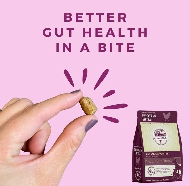 Steve's Real Food Probiotic Protein Bites - Image 8